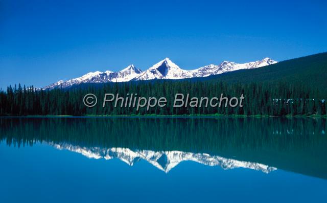 canada alberta 16.JPG - Lac EmeraudeEmerald lakeParc national de YohoColombie BritanniqueCanada